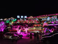-枇杷园食为鲜火锅(南山店)