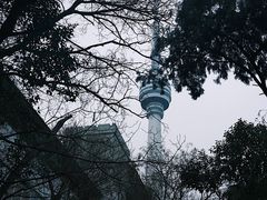 -黑胶星球(华发中城商都店)
