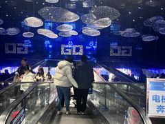 -盒马X会员店(上海森兰商都店)