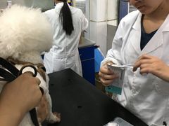 -成都民大动物医院