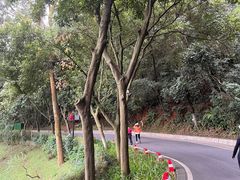 -广州市白云山风景名胜区