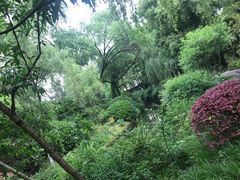 -荆川公园