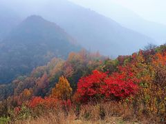 -秦岭风景区