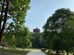 -富乐山