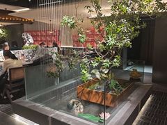 -杏花村水席楼·洛阳水席(老城十字街店)