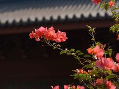 -杭州上天竺法喜讲寺