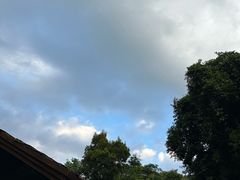 -三亚亚龙湾人间天堂鸟巢度假村
