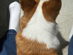 -浙江国际赛车场