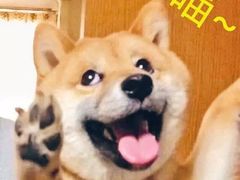 -海底捞火锅(方塔东街店)