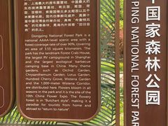 -东平国家森林公园