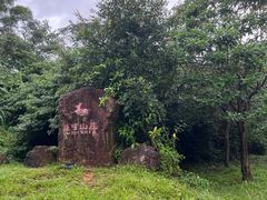 -杨梅坑