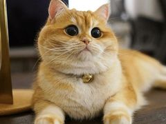 -百信宠物医院(东升街店)