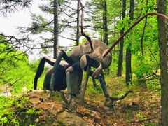 -白草畔自然风景区