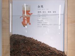 -喜茶(中山白水井店)