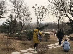 -济南国际园博园