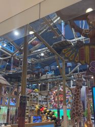 -卡通尼·Safari非洲探索乐园·生日会(金桥国际商业广场店)