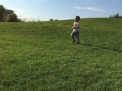 -长白岛森林公园