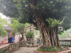 -东莞市可园博物馆