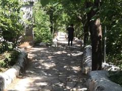 -阳台山自然风景区