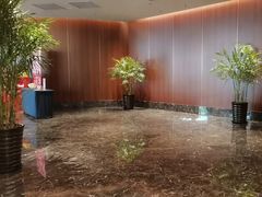 -喜来登由由大酒店九州膳坊中餐厅