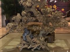 -阿斯牛牛·凉山菜(新会展店)