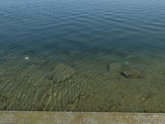 -白洋淀景区