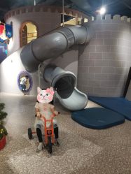 -幻贝家儿童乐园(武汉永旺梦乐城店)