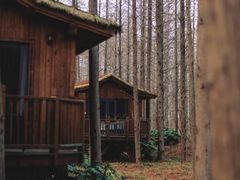 -黄海国家森林公园