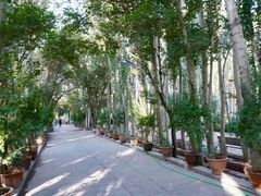 -艾提尕尔清真寺