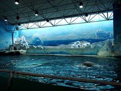 -秦皇岛乐岛海洋王国