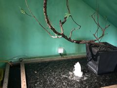 -弄堂里(阿里西溪A区店)