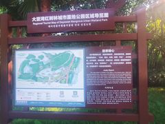 -大亚湾红树林城市湿地公园