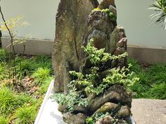 -上海醉白池公园