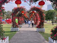 -万绿园