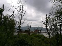 -才村湿地公园