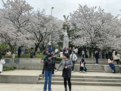 -武汉大学-樱园
