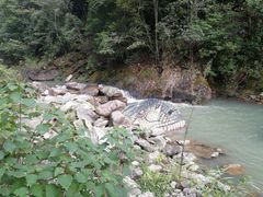 -九龙江国家森林公园