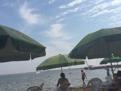 -碧海金沙