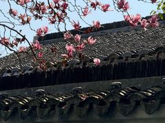 -丝绸小镇荻港古村