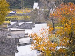-塔川景区