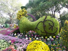-杭州植物园