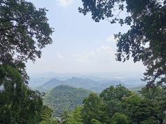 -莫干山风景区