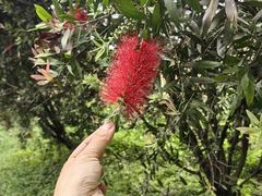 -桤木河湿地公园