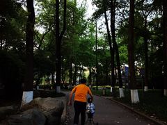 -温江公园