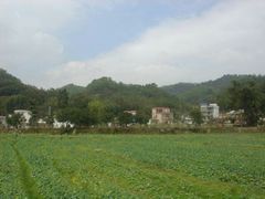 -红山村