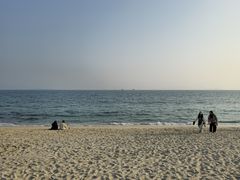 -玫瑰海岸文化旅游度假区