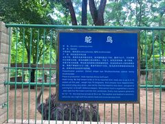 -攀枝花公园