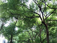 -杭州半山国家森林公园