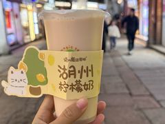 -猫的魔法密林(衣裳街店)