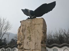景点-北京鹫峰国家森林公园